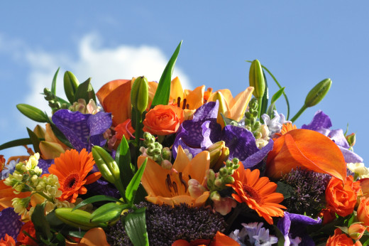 834358 (a): :2500x1660